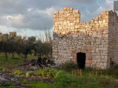 Ad attenderci, immerso tra gli ulivi, c'� un edificio in pietra apparentemente anonimo: in realt� � un pagliaio che risale addirittura al VII-VIII secolo, usato come riparo e deposito dai contadini di un tempo